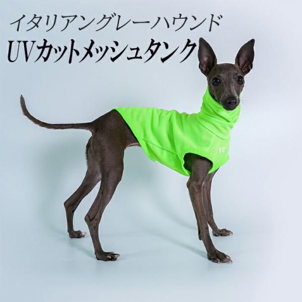 送料無料 イタリアングレーハウンド 服 イタグレ おしゃれ 犬服 夏ハイネック タンクトップ UVカ...