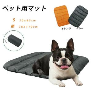 あすつく】【センダンαプラス 30mL×1個】犬猫用 (センダンαの