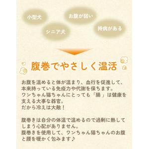 グレー追加 大人気 犬用腹巻き 犬 腹巻き は...の詳細画像5