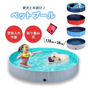 並行輸入品】1~4歳の子供向けペイントギフト 猫のしっくいペイント