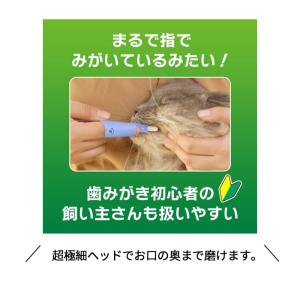 ペット用歯ブラシ ライオン PETKISS 指...の詳細画像1