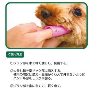 ペット用歯ブラシ ライオン PETKISS 指...の詳細画像2