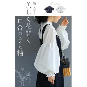 ホワイト予約:4月15日〜4月30日前後の出荷...の詳細画像1