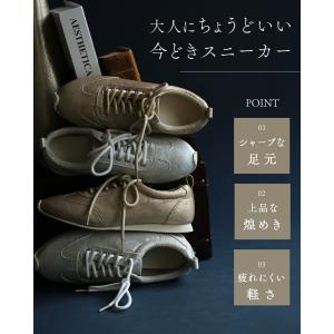 35から39対応 ミセスのトレンドスニーカーの詳細画像2