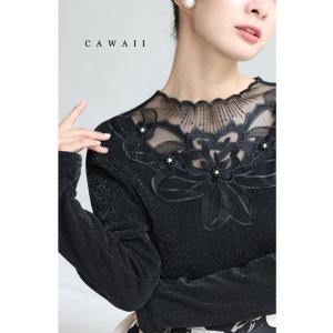 cawaii Sから2L対応 黒 デコルテ華やぐシアーレースの裏起毛ラメトップス