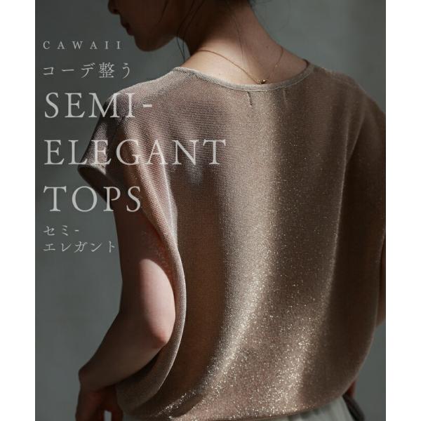 SからL対応 コーデが整う セミエレガントトップス