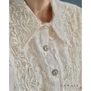 SからL対応 煌めくレース浮き立つシアー袖ブラウストップス