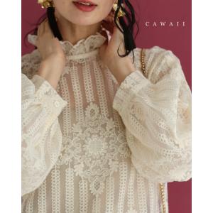 SからL対応 肌に美しく浮かび上がる装飾刺繍シアーブラウストップス