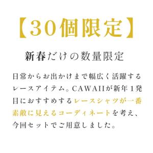 オケージョンセットの詳細画像3