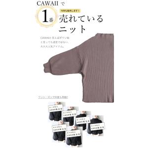 CAWAII ブラウン 袖ポワンとオフネックの...の詳細画像1