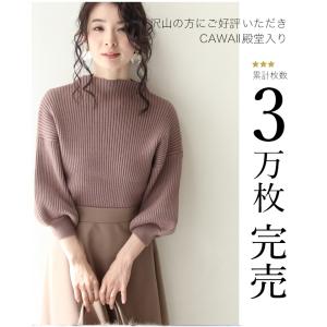 CAWAII ブラウン 袖ポワンとオフネックの...の詳細画像2