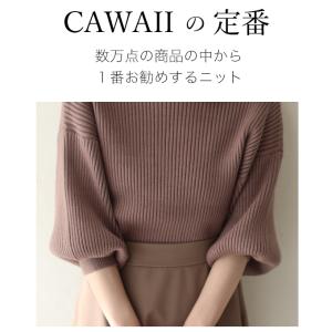 CAWAII ブラウン 袖ポワンとオフネックの...の詳細画像3