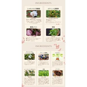 【潤艶キット】＼初めての方用/★肌を基礎構築を...の詳細画像5