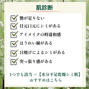 【潤艶雪肌】小悪魔一人勝ちキット★肌を基礎構築...の詳細画像3