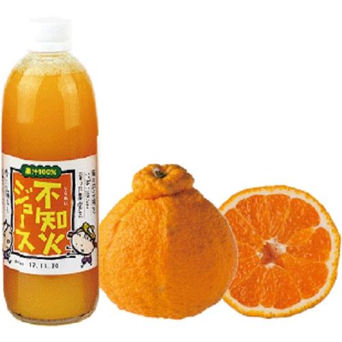 愛媛県産ストレート果汁100%  のうみん　不知火ジュース 500mlX12本