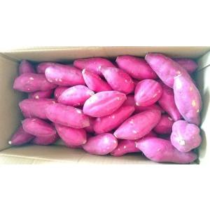 徳島県産 鳴門金時 丸 Sサイズ 5kg さつま...の商品画像