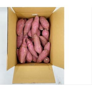 熊本県産　紅はるか　A品　２L〜３Lサイズ　　10kg