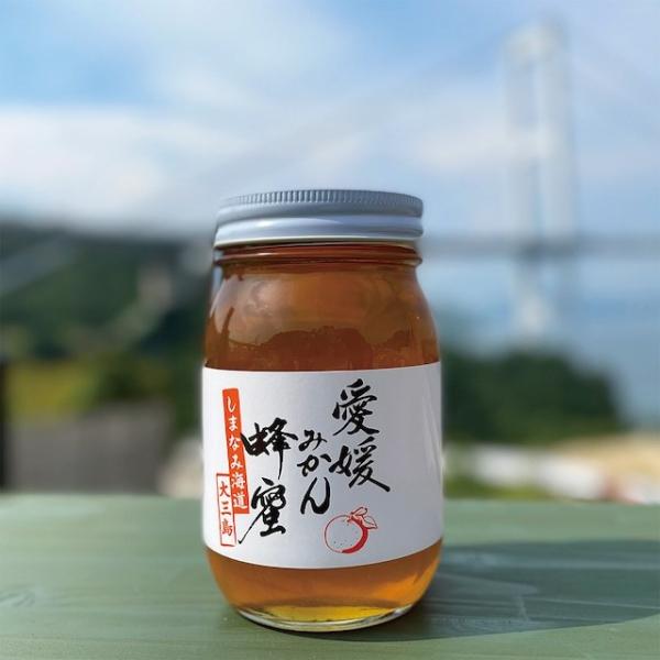 国産はちみつ　　愛媛県大三島　菅さんの愛媛みかんはちみつ　600ｇ　　同梱不可