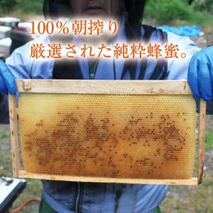 国産はちみつ 愛媛県大三島 菅さんの愛媛みかん...の詳細画像1