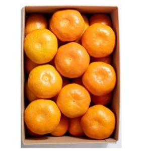 愛媛県産 ご家庭用 ハウスみかん 無地 サイズ混合 3kg 柑橘 みかん