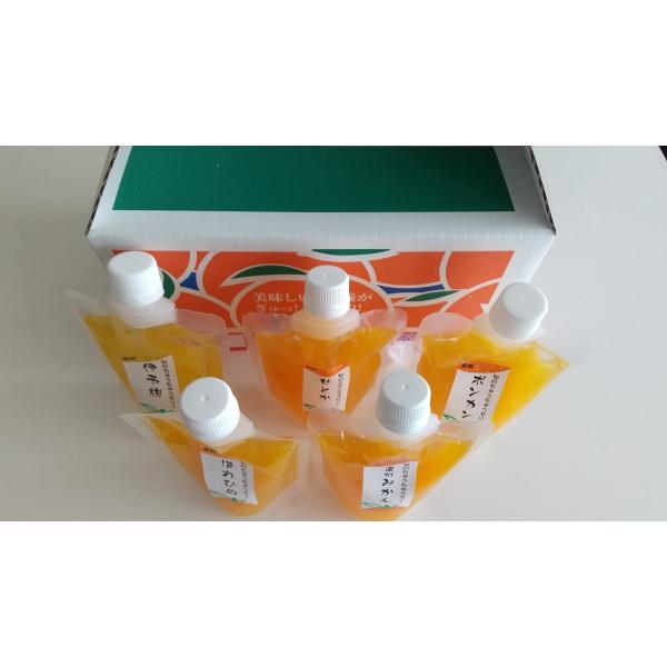 送料無料（沖縄・北海道除く）田那部青果　ちゅうちゅうゼリー　銘柄おまかせ　30個入り