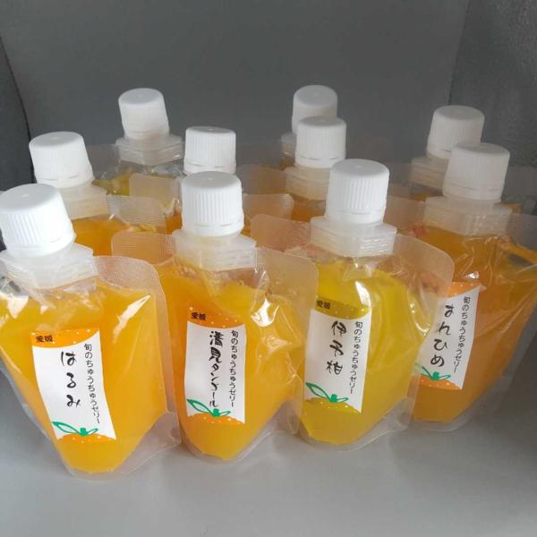 田那部青果　ちゅうちゅうゼリー　銘柄おまかせ　１０個入り