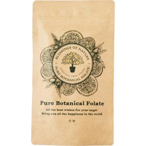 正規品】【送料無料】PYR FILING PLUS パイラ ファイリング プラス 45