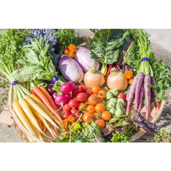 フレッシュグループ淡路島の彩り野菜と香るハーブセット　季節の１２〜１４種の厳選こだわり詰合わせ　1....