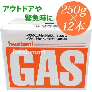 イワタニ IWATANI カセットガス 250g×12本（3本×4）セット