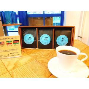 コーヒーギフト ドリップコーヒー コーヒーギフト アイスコーヒーギフト 焙煎人荒野おすすめギフト