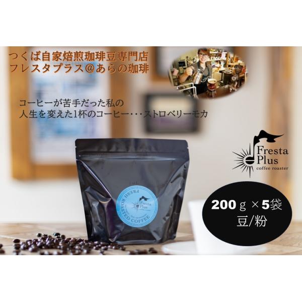 ドリップコーヒー コーヒー豆 エチオピア ストロベリーモカ 1kg ギフト コーヒー 珈琲 コーヒー...