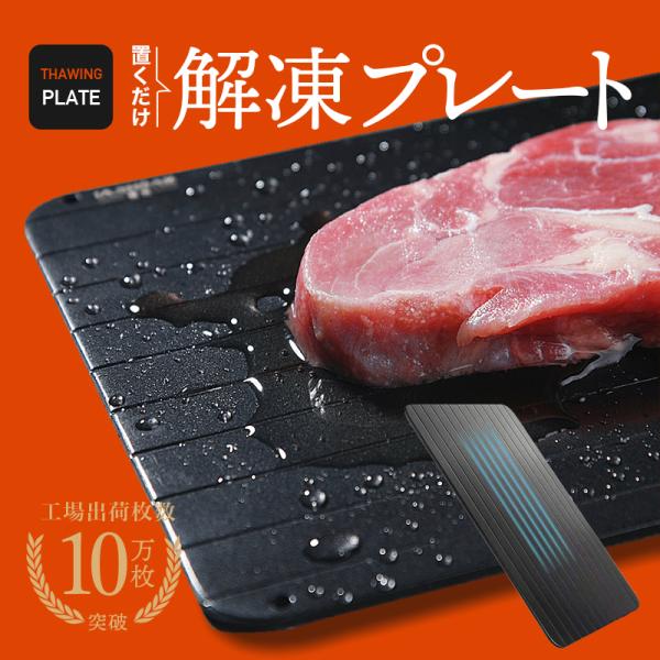 解凍プレート 急速解凍 アルミ 専門家監修 冷凍食品 肉 魚 野菜 省エネ 電気不要 祖熱取り