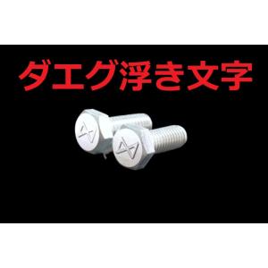C-101 ダエグ 浮き文字 アルミ製 M6×16 2本1セット ナンバーボルト ZRX1200ダエ...