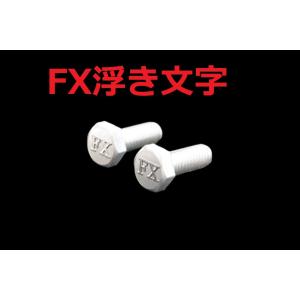 C-104 FX 浮き文字 アルミ製 M6×16 2本1セット ナンバーボルト Z550FX Z40...