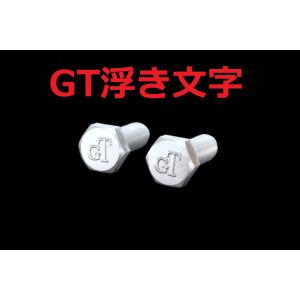 C-110 GT 浮き文字 アルミ製 M6×16 2本1セット ナンバーボルト GT380 GT25...