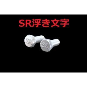 C-112 SR 浮き文字 アルミ製 M6×16 2本1セット ナンバーボルト SR500 SR40...