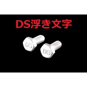 C-113 DS 浮き文字 アルミ製 M6×16 2本1セット ナンバーボルト ドラッグスター400...