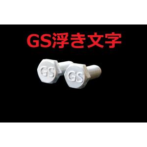 C-117 GS 浮き文字 アルミ製 M6×16 2本1セット ナンバーボルト GS1000 GS7...