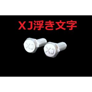 C-118 XJ 浮き文字 アルミ製 M6×16 2本1セット ナンバーボルト XJ400/D XJ...