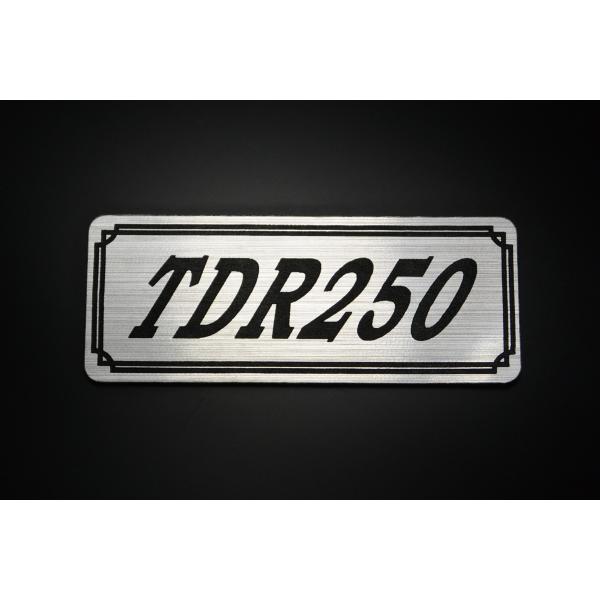 E-520-2 TDR250 銀/黒 オリジナル ステッカー シングルシート ビキニカウル サイドカ...