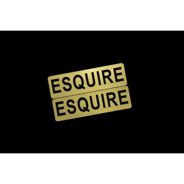 EE-537-1 ESQUIRE 金黒 アクリル2層 ステッカー トヨタ エスクァイア カスタム 前...