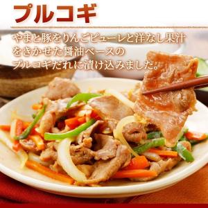 やまと豚 味付け肉 7点セット NS-Q | ...の詳細画像5