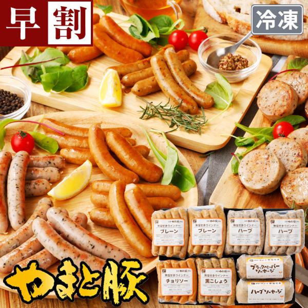 ウインナー ソーセージ 詰め合わせ ギフト 無塩せき NSG-B | (冷凍) お歳暮 2025 肉...