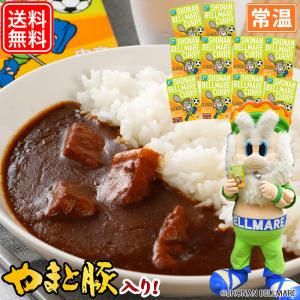 湘南ベルマーレカレー 10個セット | [常温] 父の日 母の日 プレゼント 食べ物 ギフト ベルマーレ レトルトカレー レトルト レトルト食品 カレー 食品 常温商品｜frieden-shop