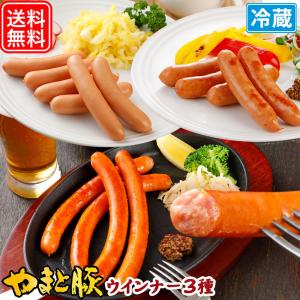 お徳用ウインナー3種セットA NS-W | [冷蔵] 送料無料 母の日 プレゼント 内祝い ギフト ウインナー ソーセージ ウィンナー お取り寄せグルメ つまみ 食品 肉