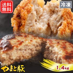 ハンバーグ メンチカツ 詰め合わせ 1.4Kg NS-AZ | [冷凍] 父の日 母の日 プレゼント 食べ物 70代 肉 食品 内祝い 取り寄せ ギフト セット お取り寄せグルメ 惣菜｜frieden-shop