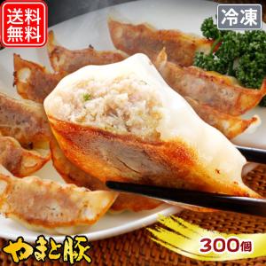 やまと豚 餃子 300個 5.4Kg NS-BR | [冷凍] 父の日 母の日 プレゼント 食べ物 肉 食品 内祝い メガ盛り 中華 ギフト お返し 取り寄せ 冷凍餃子 中華料理 業務用｜frieden-shop