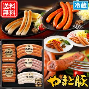 お歳暮 早割 2022 ウインナー 食べ比べ セット ギフト 611     ウィンナー 高級 お祝い ソーセージ 食品 食べ物 肉 お肉 美味しい 贈り物 のし