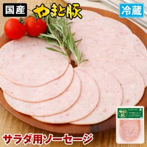 やまと豚 サラダ用ソーセージ 90g | [冷蔵] ソーセージ ボロニアソーセージ お取り寄せグルメ...