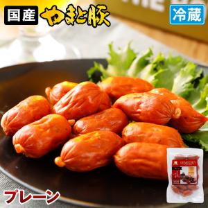 やまと豚 セミドライサラミ mini プレーン 70g     サラミ サラミソーセージ カルパス おつまみ ソーセージ オードブル 取り寄せ お肉 豚肉 珍味 つまみ